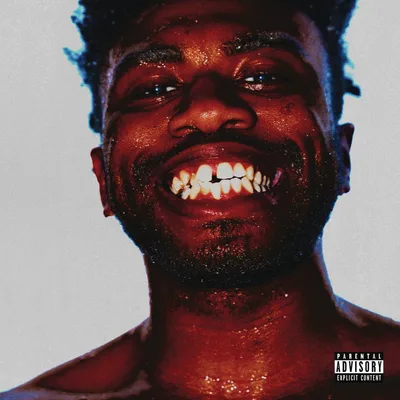 Cover of ARIZONA BABY